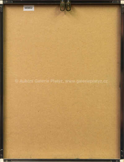  / Hlava / Ota Janeček