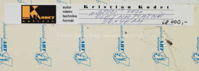  / Spící / Kristian Kodet