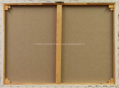  / Zátiší s houslemi a kloboukem / Petr Lichtenberg