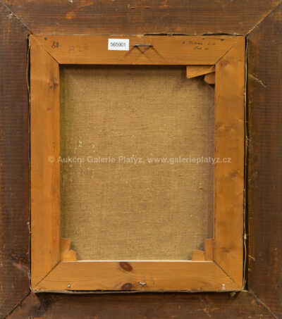  / Portrét Evy Z. / Zdeněk Burian