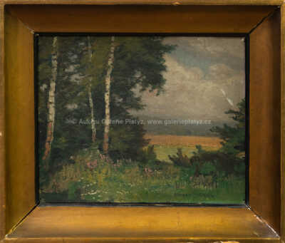 Otakar Hůrka - Pohled do krajiny