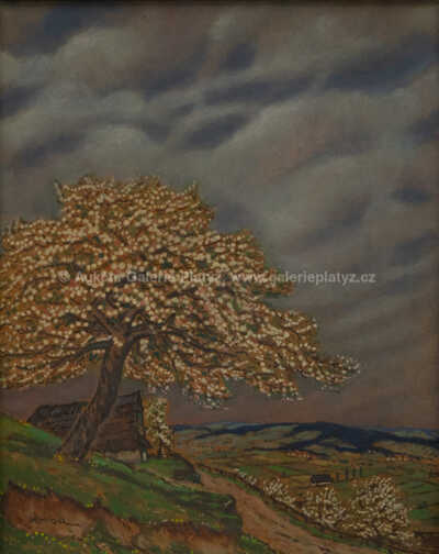  / Rozkvetlý strom / Jan Honsa