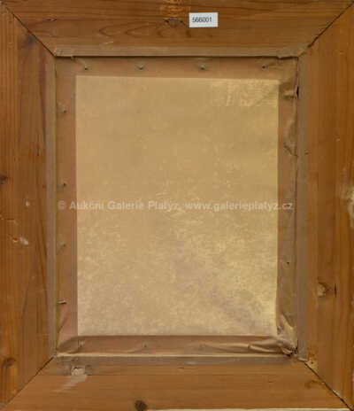  / Rozkvetlý strom / Jan Honsa