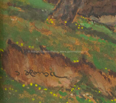  / Rozkvetlý strom / Jan Honsa