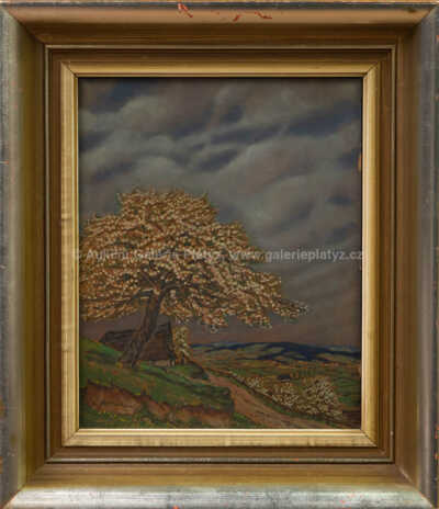 Jan Honsa - Rozkvetlý strom