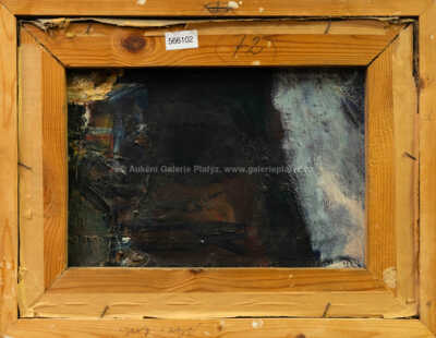  / Pohled na vesnici / Josef Jíra