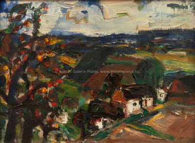  / Pohled na vesnici / Josef Jíra