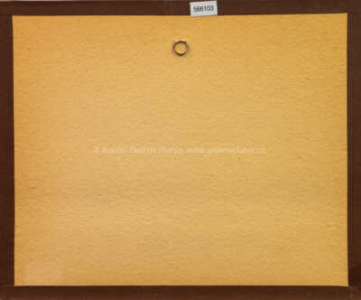  / Chlapec s koníkem / Josef Jíra