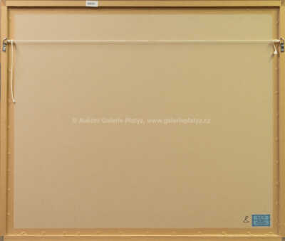  / Závody v poušti / Tomáš Bím