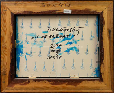  / Il de Bréhat / Josef Velčovský