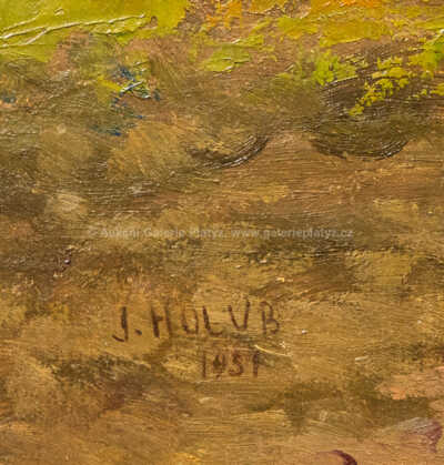  / Lesní cesta /  Josef Holub