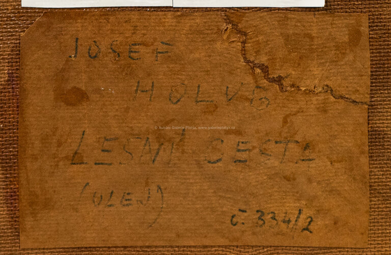  / Lesní cesta /  Josef Holub