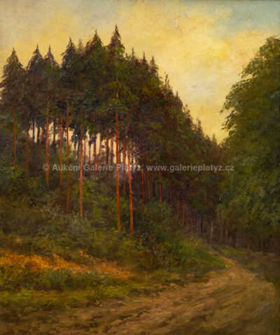  / Lesní cesta /  Josef Holub