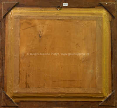  / Pohled do údolí / Jan Trampota