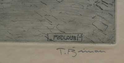  / Perlová ulice / František Tavík Šimon