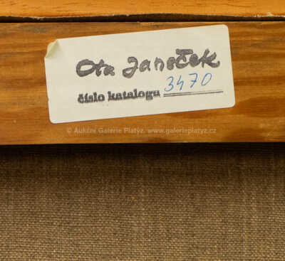  / Tvar / Ota Janeček