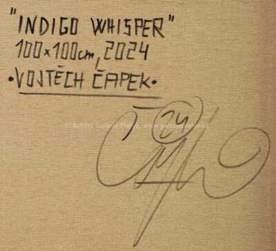  / Indigo Whisperer / Vojtěch Čapek