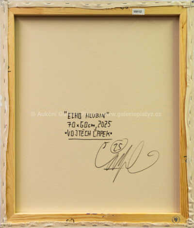  / Echo hlubin / Vojtěch Čapek