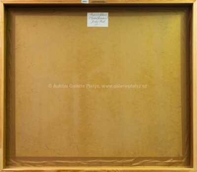  / Prostorová fluktuace / Jaroslav Vlasák