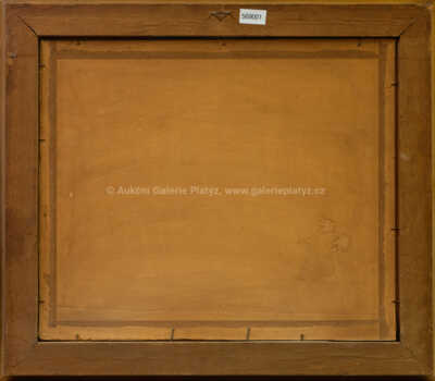  / Lesní tůň / Roman Havelka