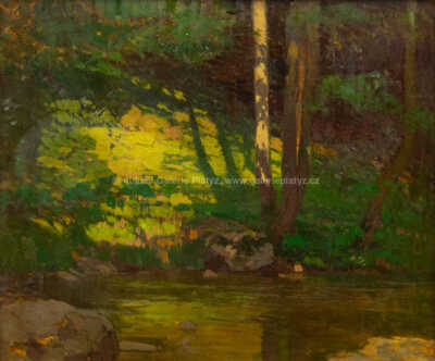  / Lesní tůň / Roman Havelka