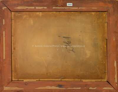  / Cesta v krajině / František  Max