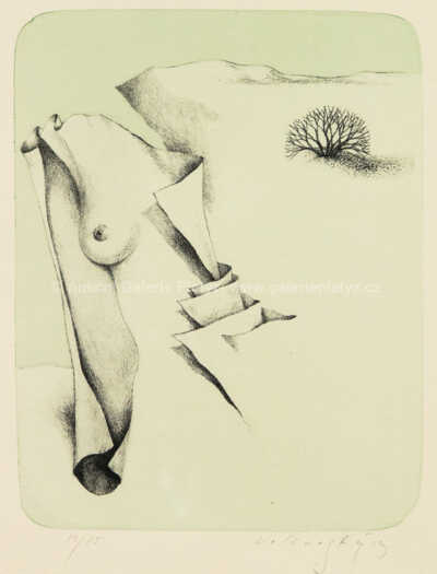  / Krajina / Josef Velčovský