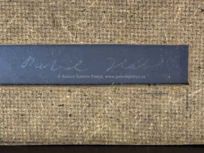  / Zlatomodrá hora II / Patrik Hábl