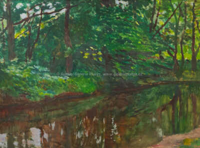  / Potok pod olšemi / Antonín Hudeček