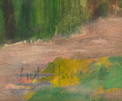  / Potok pod olšemi / Antonín Hudeček