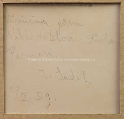  / Pohled z Petřína / Josef Sudek