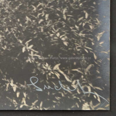  / Pohled z Petřína / Josef Sudek