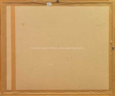  / Strop / Jiří Anderle