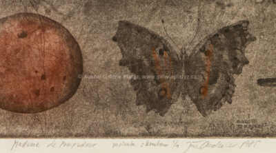  / Madame de Pompadour / Jiří Anderle