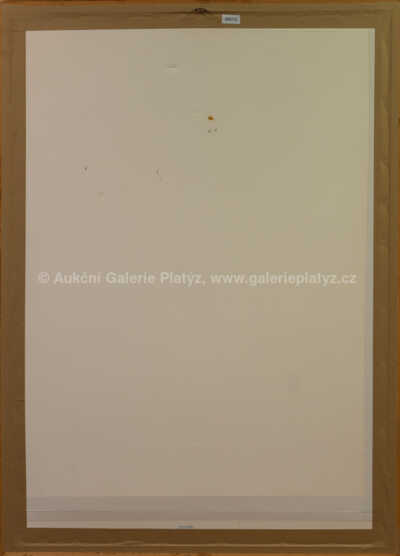  / Il Sorriso - Úsměv / Jiří Anderle