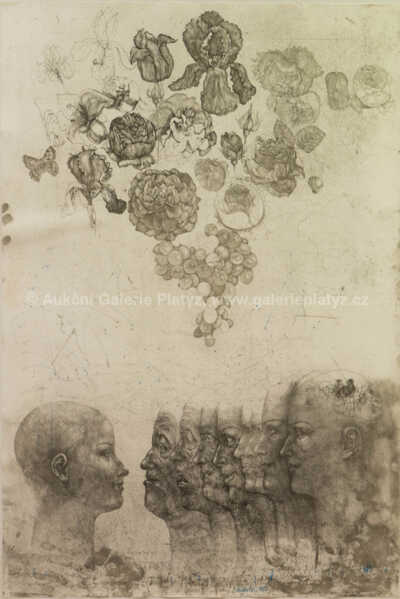  / Vanitas VI / Jiří Anderle