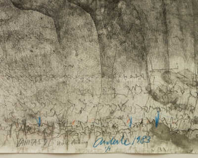  / Vanitas VI / Jiří Anderle