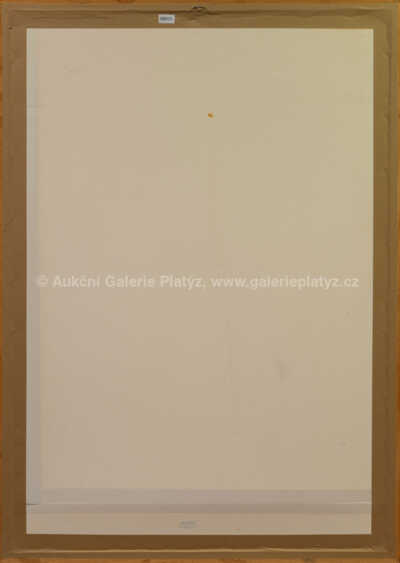  / Vanitas VI / Jiří Anderle