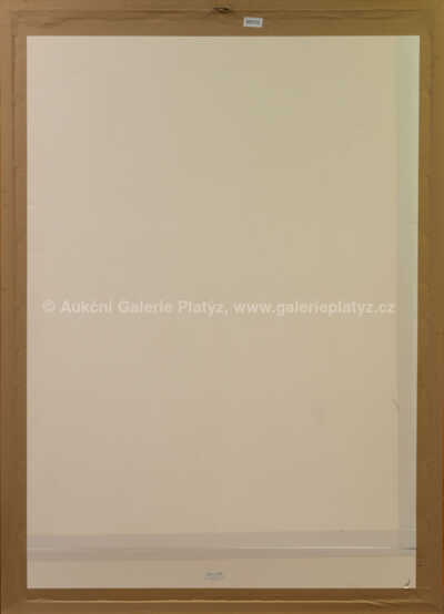  / Vanitas VIII / Jiří Anderle