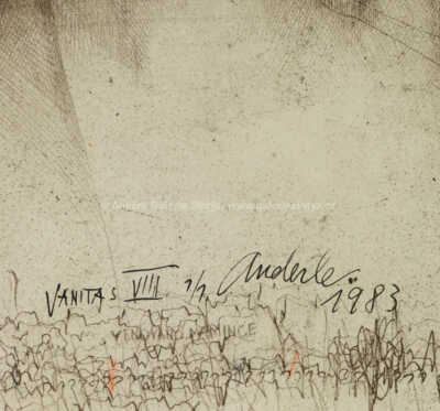  / Vanitas VIII / Jiří Anderle