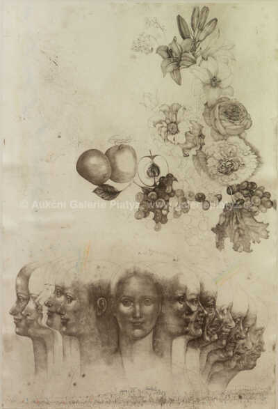  / Vanitas VIII / Jiří Anderle