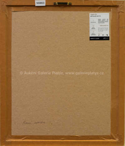  / Ranní sprcha / Josef Velčovský