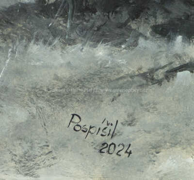  / Stopaři na koních / Miroslav Pospíšil