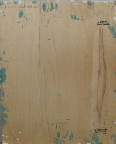  / Plující bílá stavení / Vladimír Jan Hnízdo