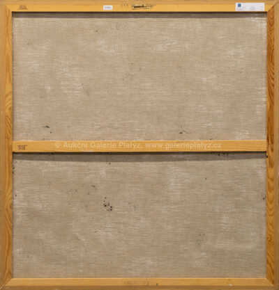  / Jezírko / Liliana Maftei