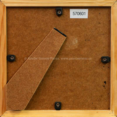  / Černoušek Kokorí / Zdeněk Burian