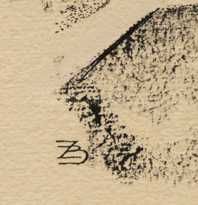  / Černoušek Kokorí / Zdeněk Burian