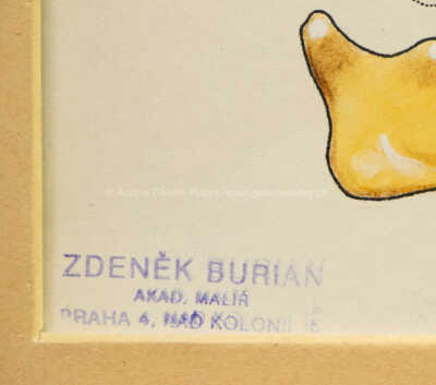  / Čelist / Zdeněk Burian