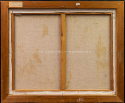  / Náhodná hra / Jindra Husáriková