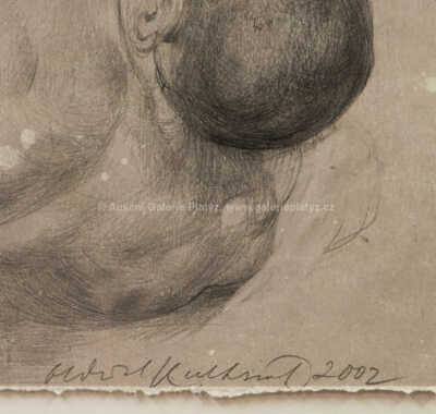  / Variace na Joba II / Oldřich Kulhánek